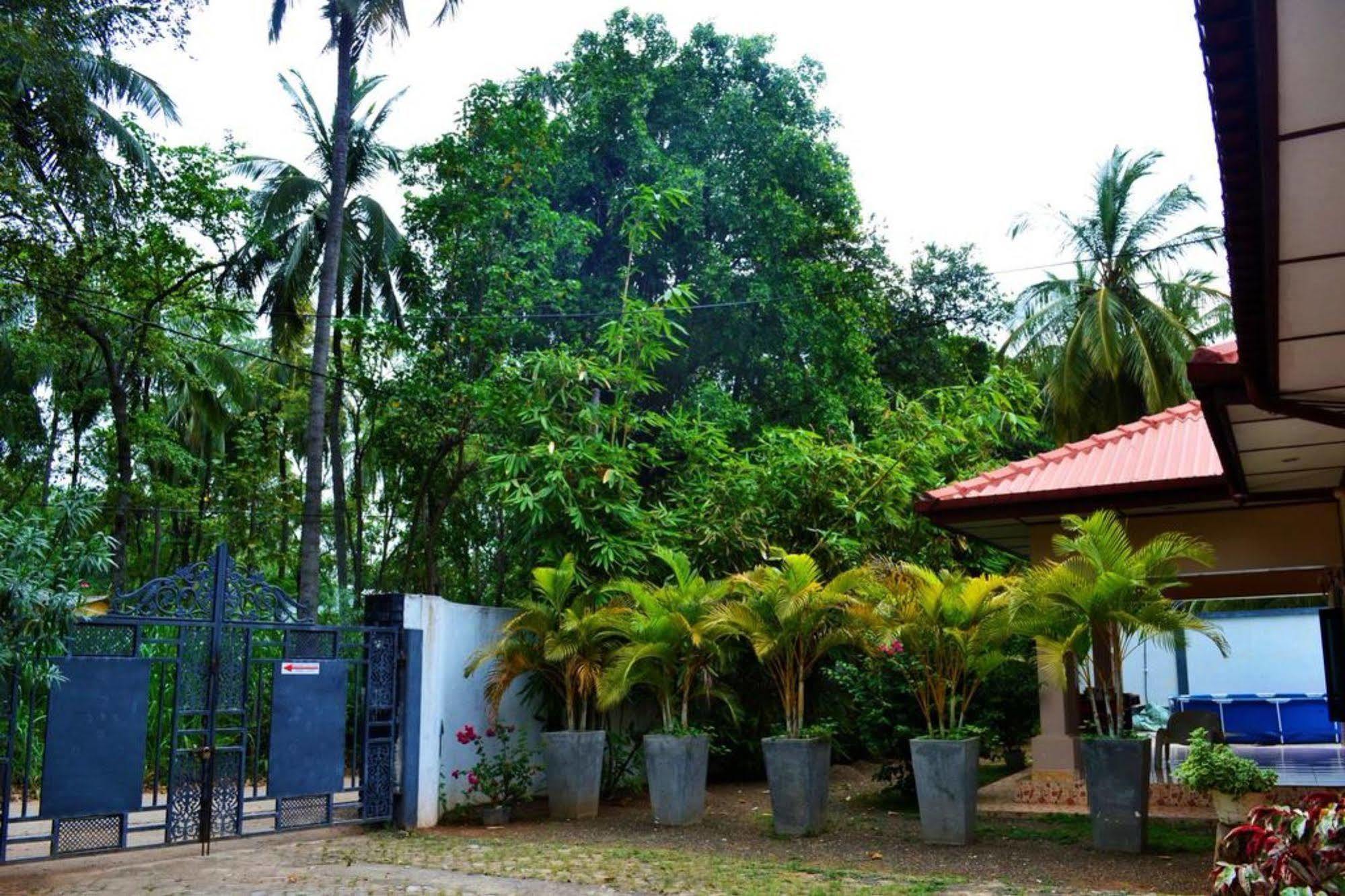 Dambulla City Hostel Екстер'єр фото