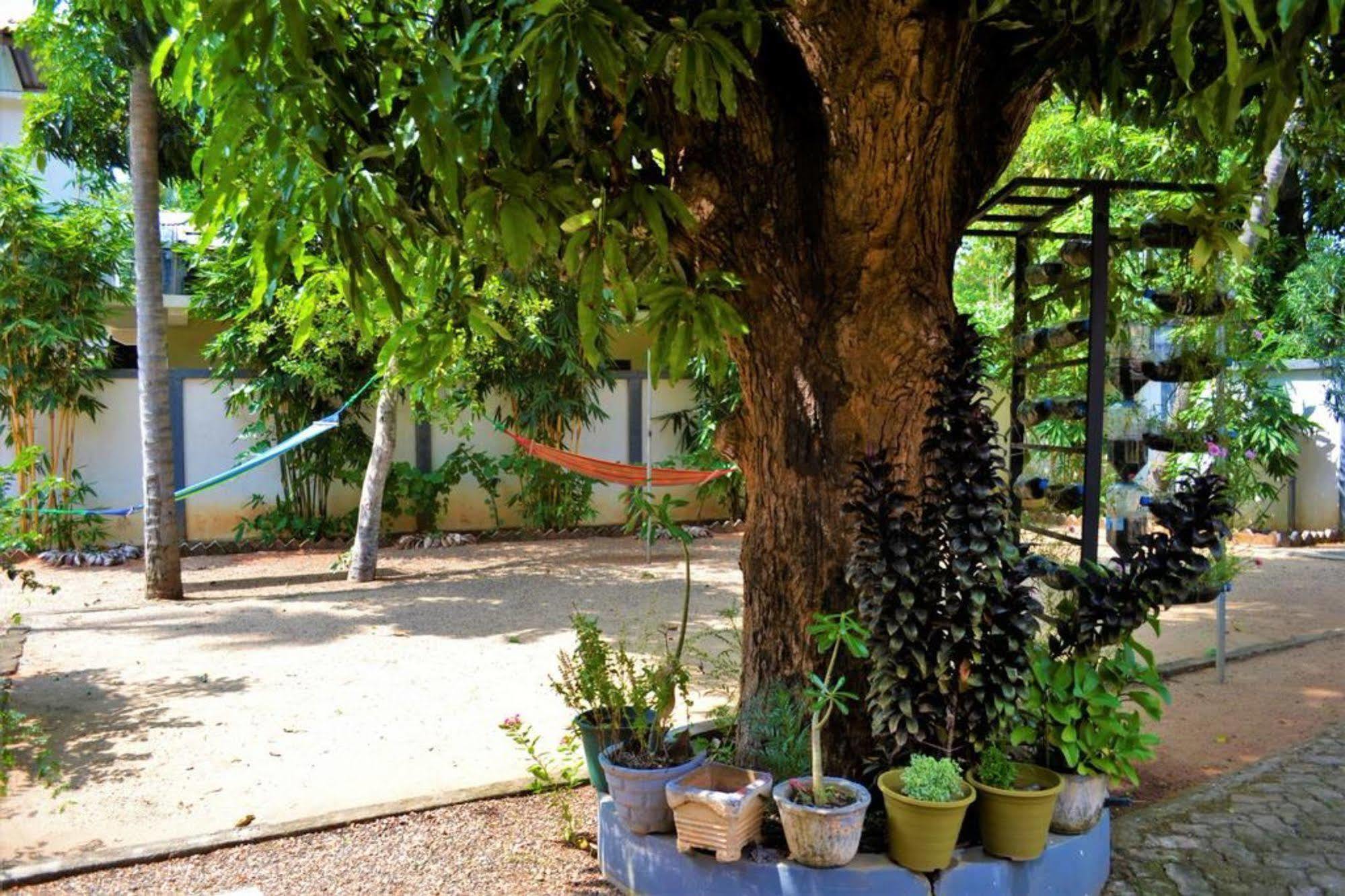 Dambulla City Hostel Екстер'єр фото